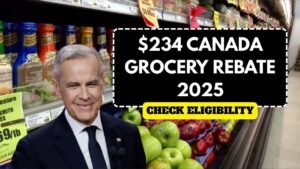 $234 Canada Grocery Rebate 2025 – CRA Payment Date & Who Qualifies